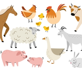 Animalele domestice în engleză